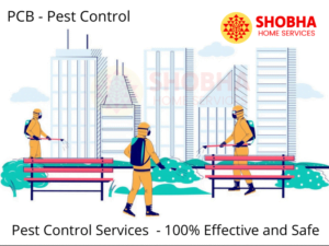 Pest Control Services in bangalore